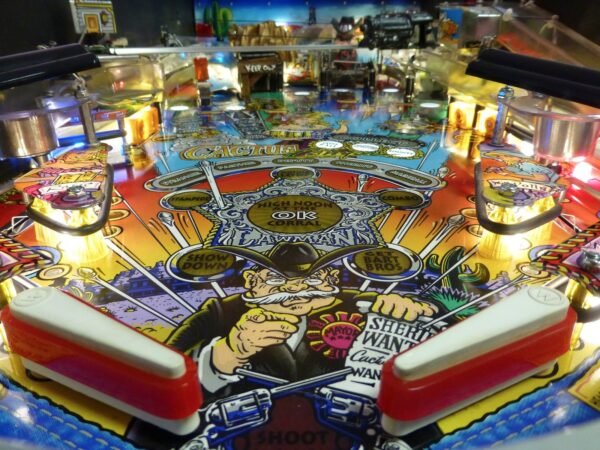 Cactus Canyon Pinball Machine - Image 3