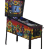 Guns N Roses Standard Edition